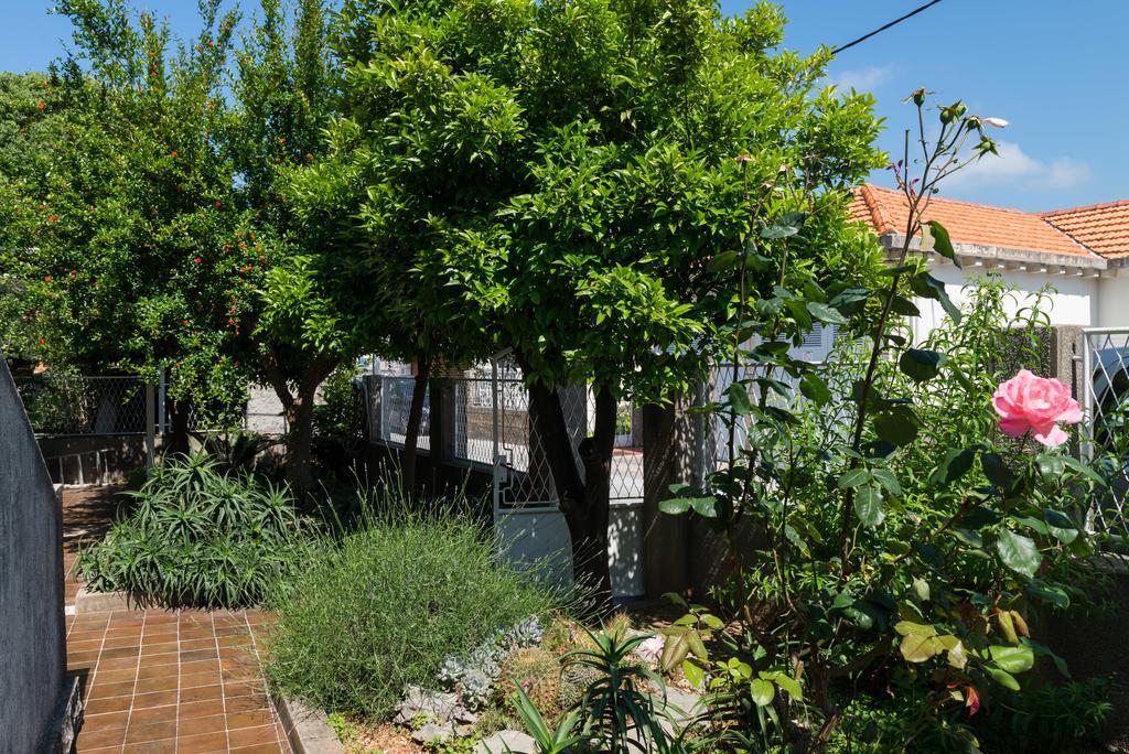 Apartment Veve Ντουμπρόβνικ Εξωτερικό φωτογραφία